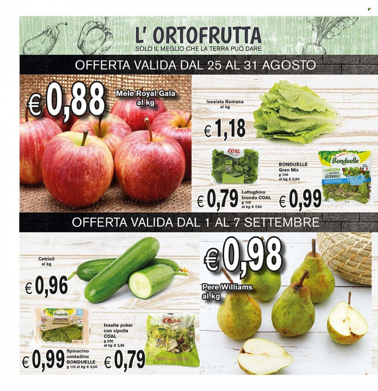 Volantino COAL - 25/8/2022 - 7/9/2022. Pagina 2