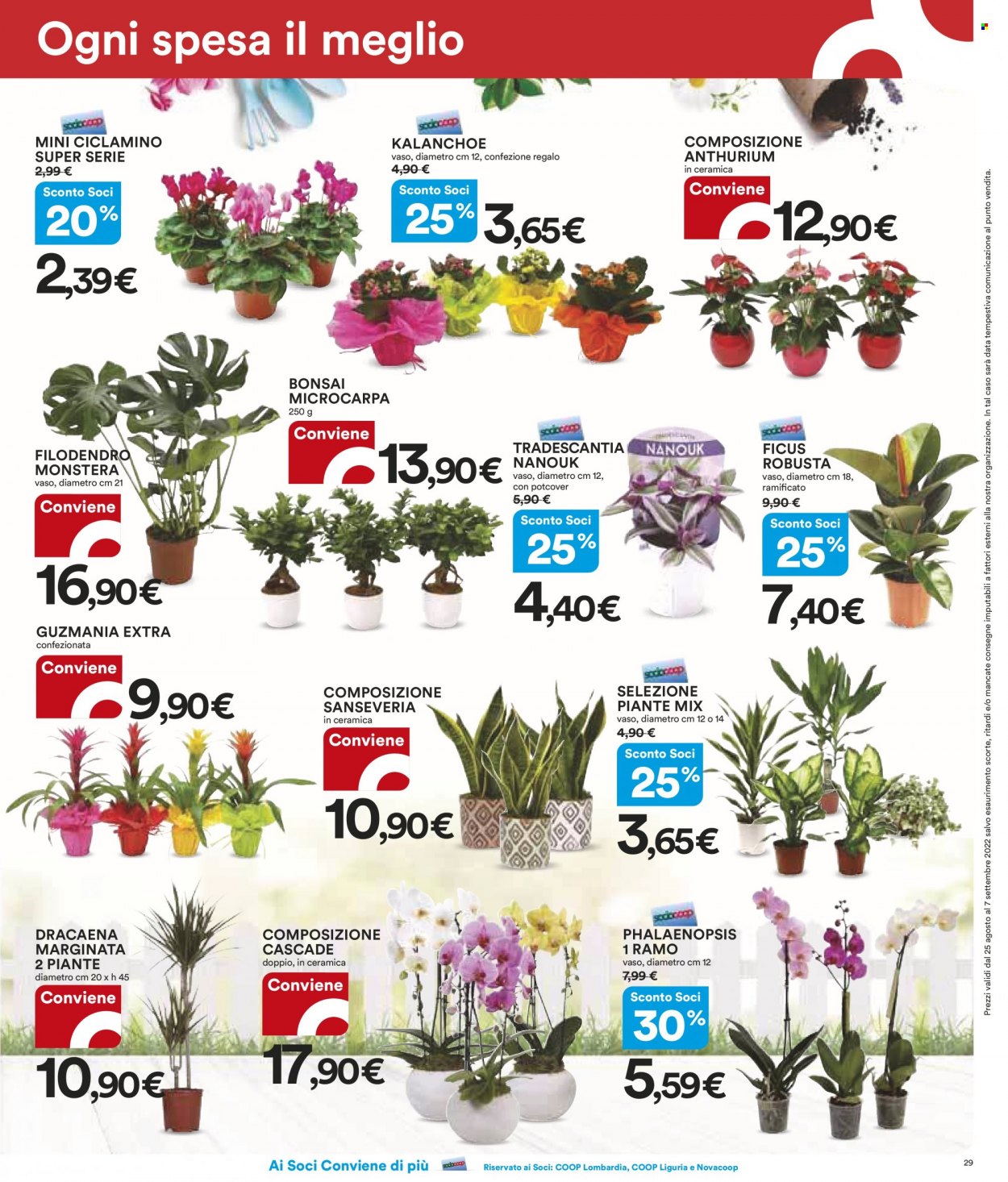 Volantino Coop - 25/8/2022 - 7/9/2022. Pagina 29
