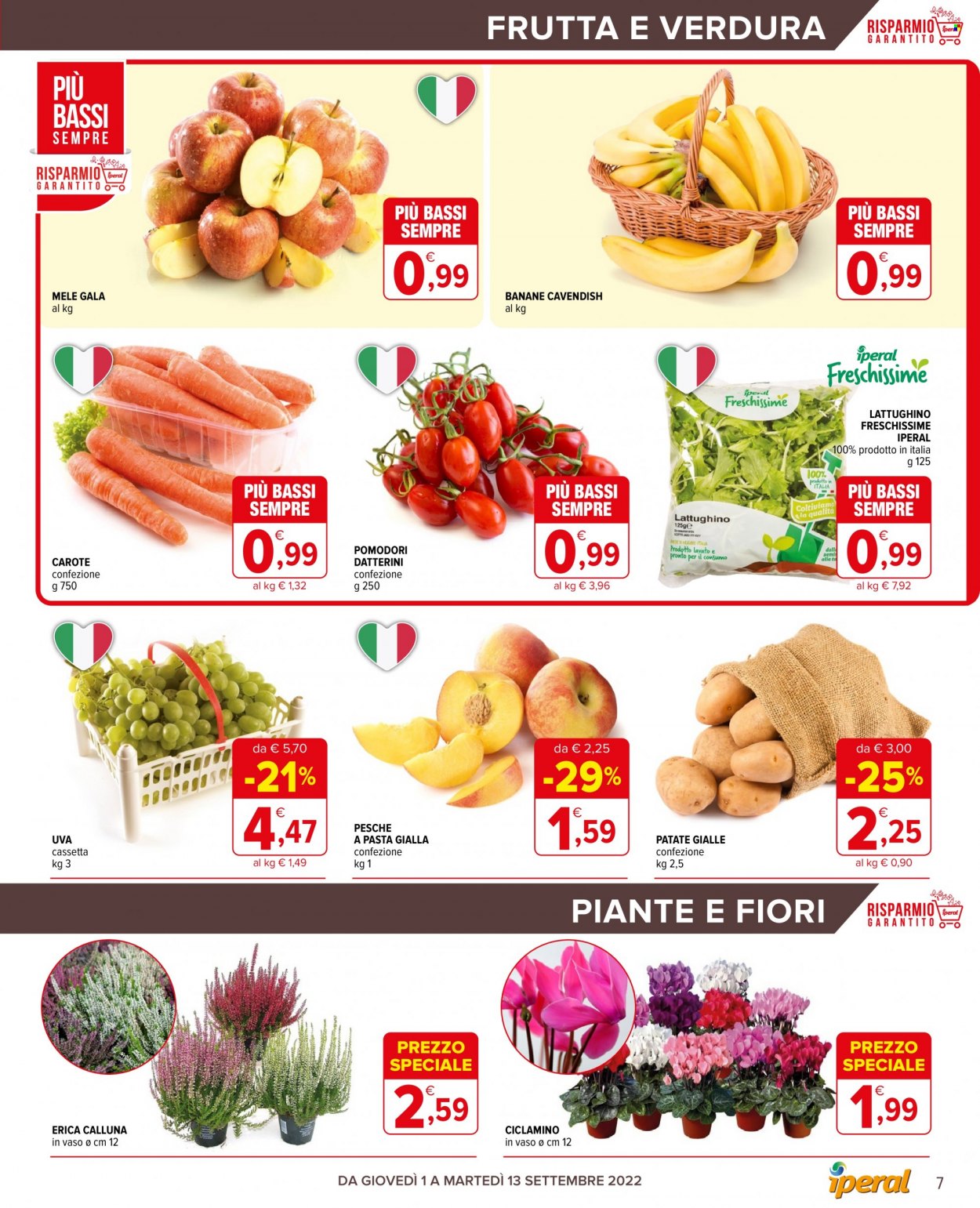 Volantino Iperal - 1/9/2022 - 13/9/2022. Pagina 7
