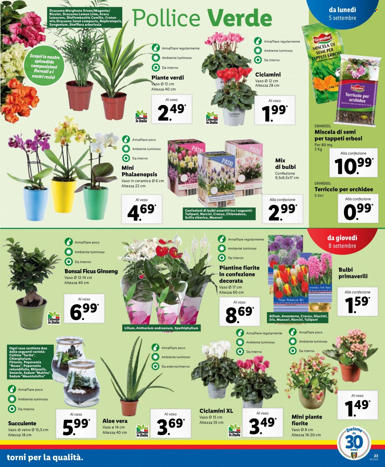 Volantino Lidl - 5/9/2022 - 11/9/2022. Pagina 23