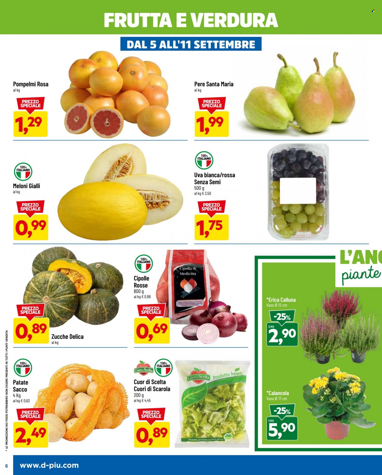 Volantino Dpiù - 5/9/2022 - 18/9/2022. Pagina 6