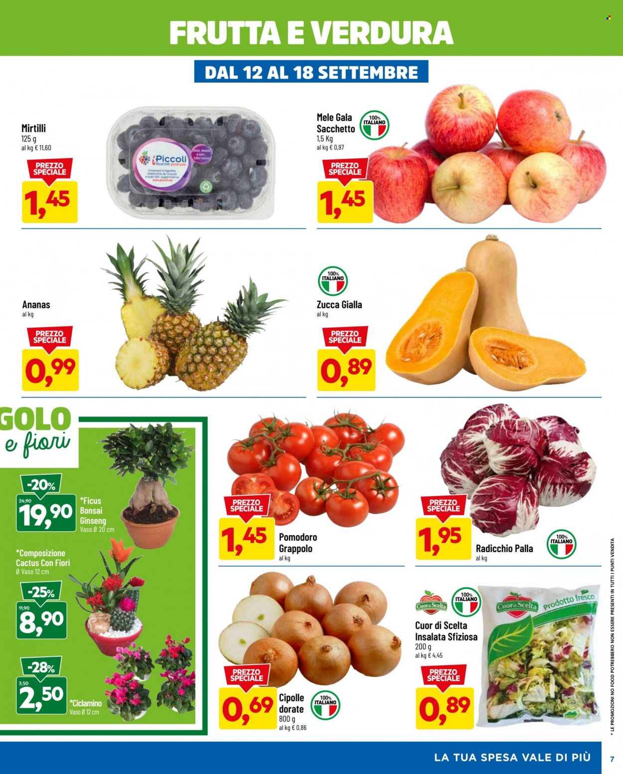 Volantino Dpiù - 5/9/2022 - 18/9/2022. Pagina 7