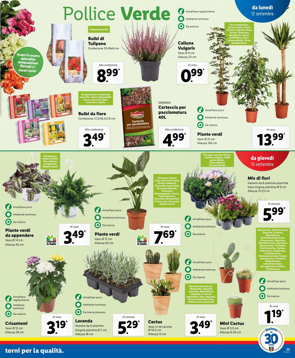 Volantino Lidl - 12/9/2022 - 18/9/2022. Pagina 25