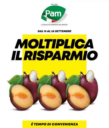Volantino Pam Panorama - 15/9/2022 - 28/9/2022.