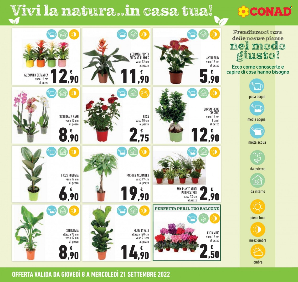 Volantino Conad - 8/9/2022 - 21/9/2022. Pagina 20