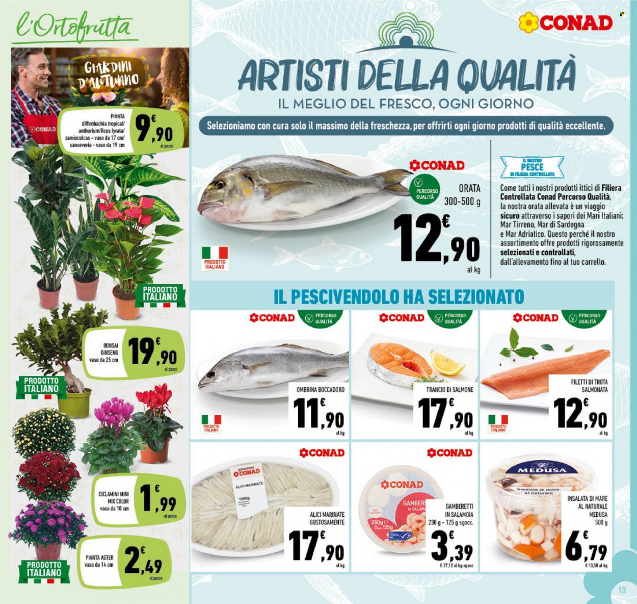 Leták Conad - 21.9.2022 - 2.10.2022. Strana 13