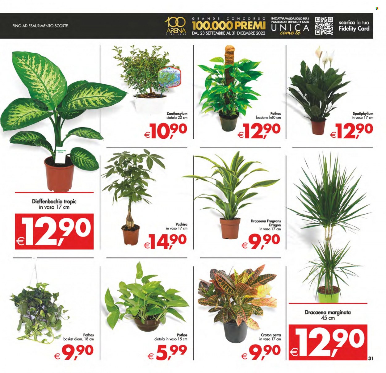 Volantino Deco - 23/9/2022 - 3/10/2022. Pagina 31