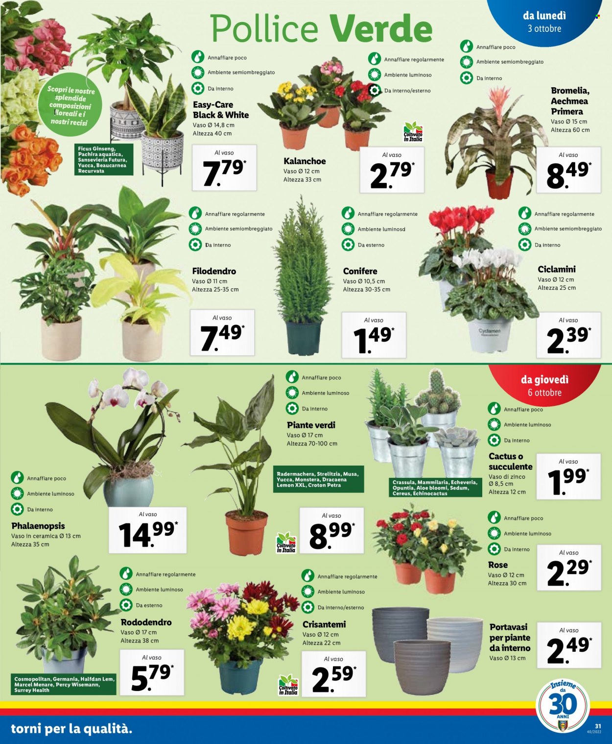 Volantino Lidl - 3/10/2022 - 9/10/2022. Pagina 31