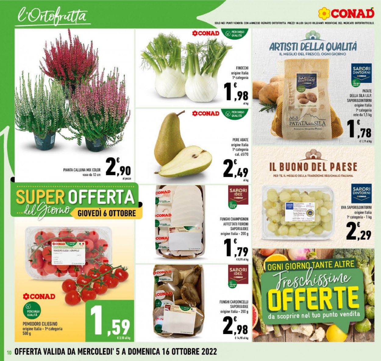 Volantino Conad - 5/10/2022 - 16/10/2022. Pagina 10