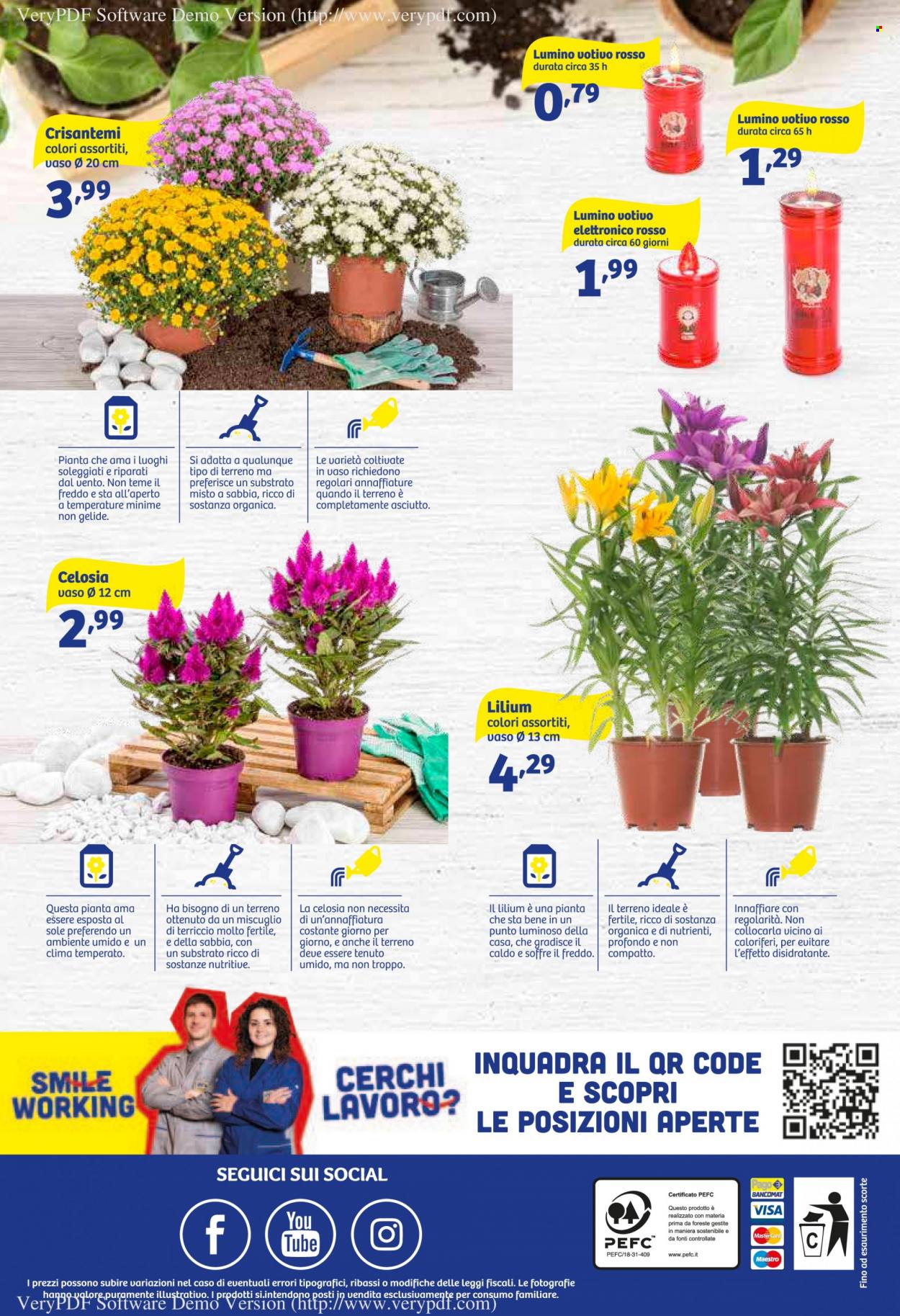 Volantino iN's Mercato - 12/10/2022 - 23/10/2022. Pagina 24