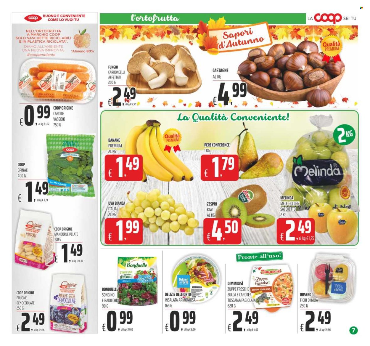 Leták Coop - 14.10.2022 - 26.10.2022. Strana 7