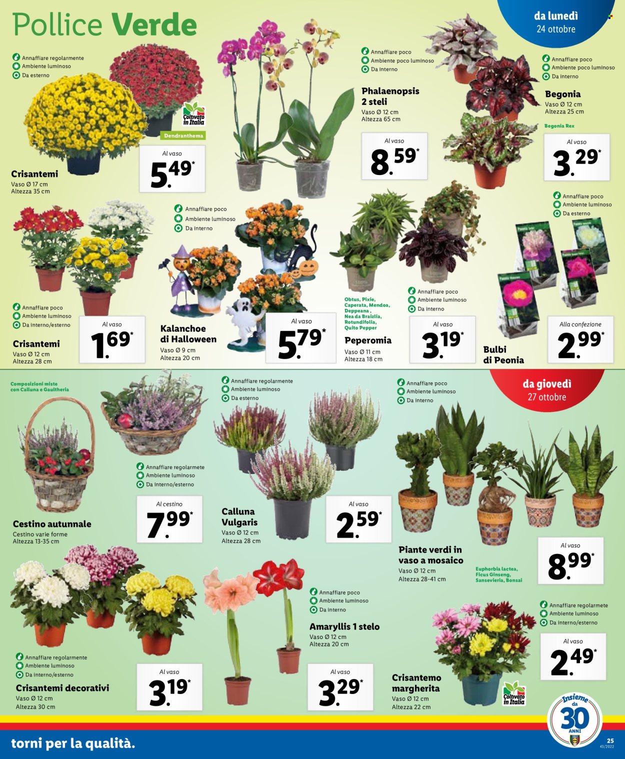 Volantino Lidl - 24/10/2022 - 30/10/2022. Pagina 25