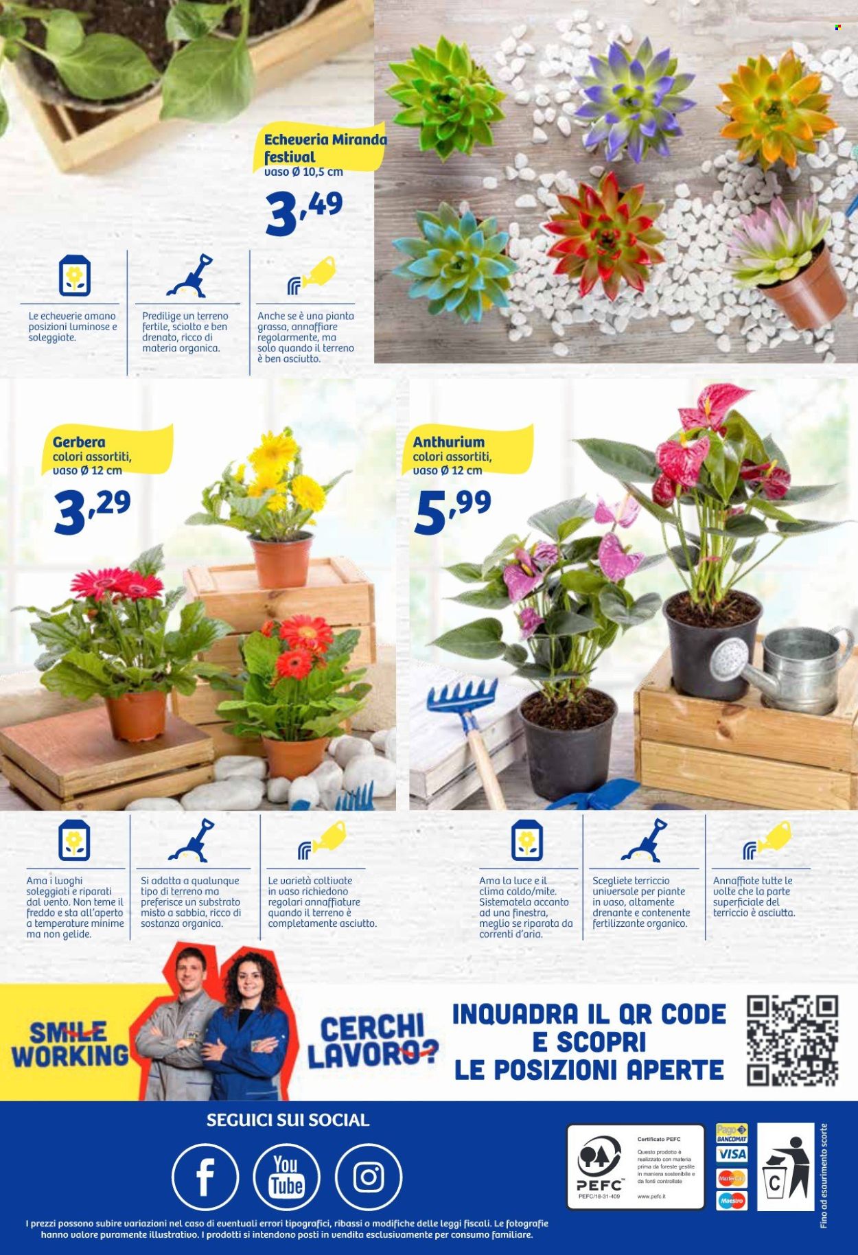 Volantino iN's Mercato - 26/10/2022 - 6/11/2022. Pagina 24