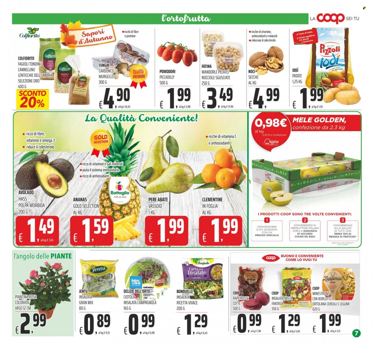 Leták Coop - 27.10.2022 - 8.11.2022. Strana 7