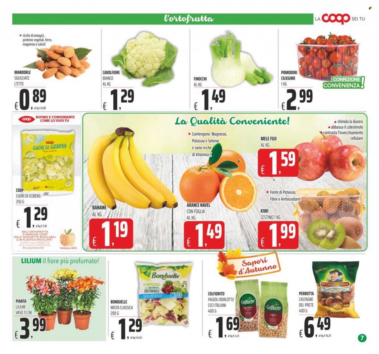 Leták Coop - 9.11.2022 - 21.11.2022. Strana 7