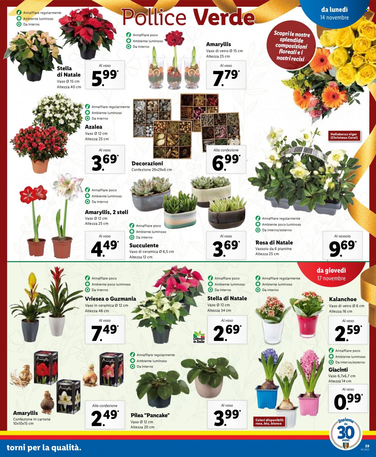 Volantino Lidl - 14/11/2022 - 20/11/2022. Pagina 39
