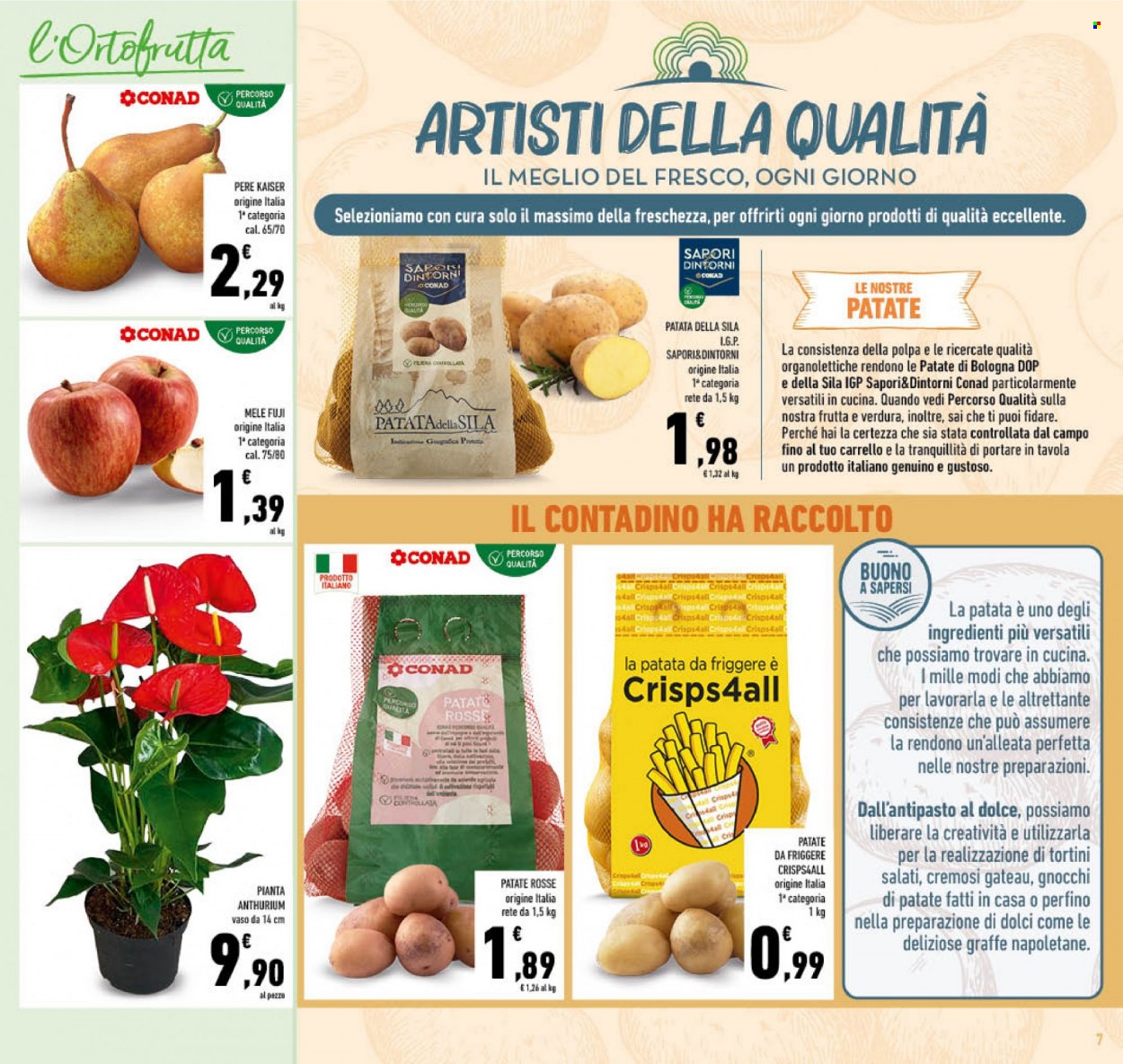 Volantino Conad - 16/11/2022 - 27/11/2022. Pagina 7