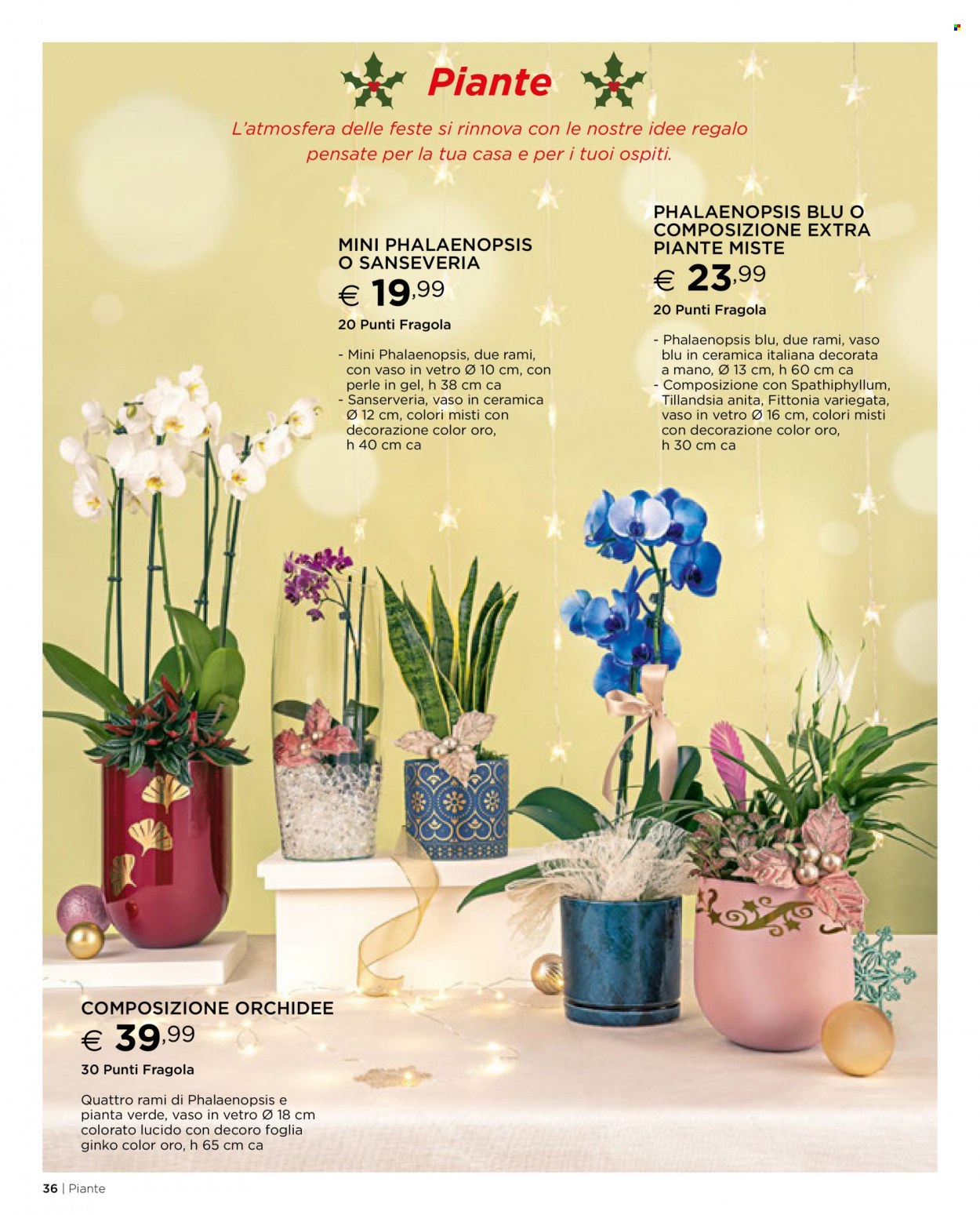 Volantino Esselunga - 17/11/2022 - 31/12/2022. Pagina 36