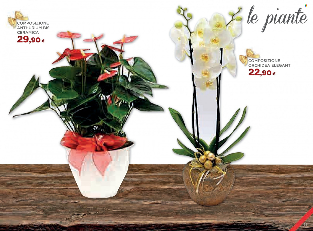 Volantino Coop - 24/11/2022 - 31/12/2022. Pagina 65