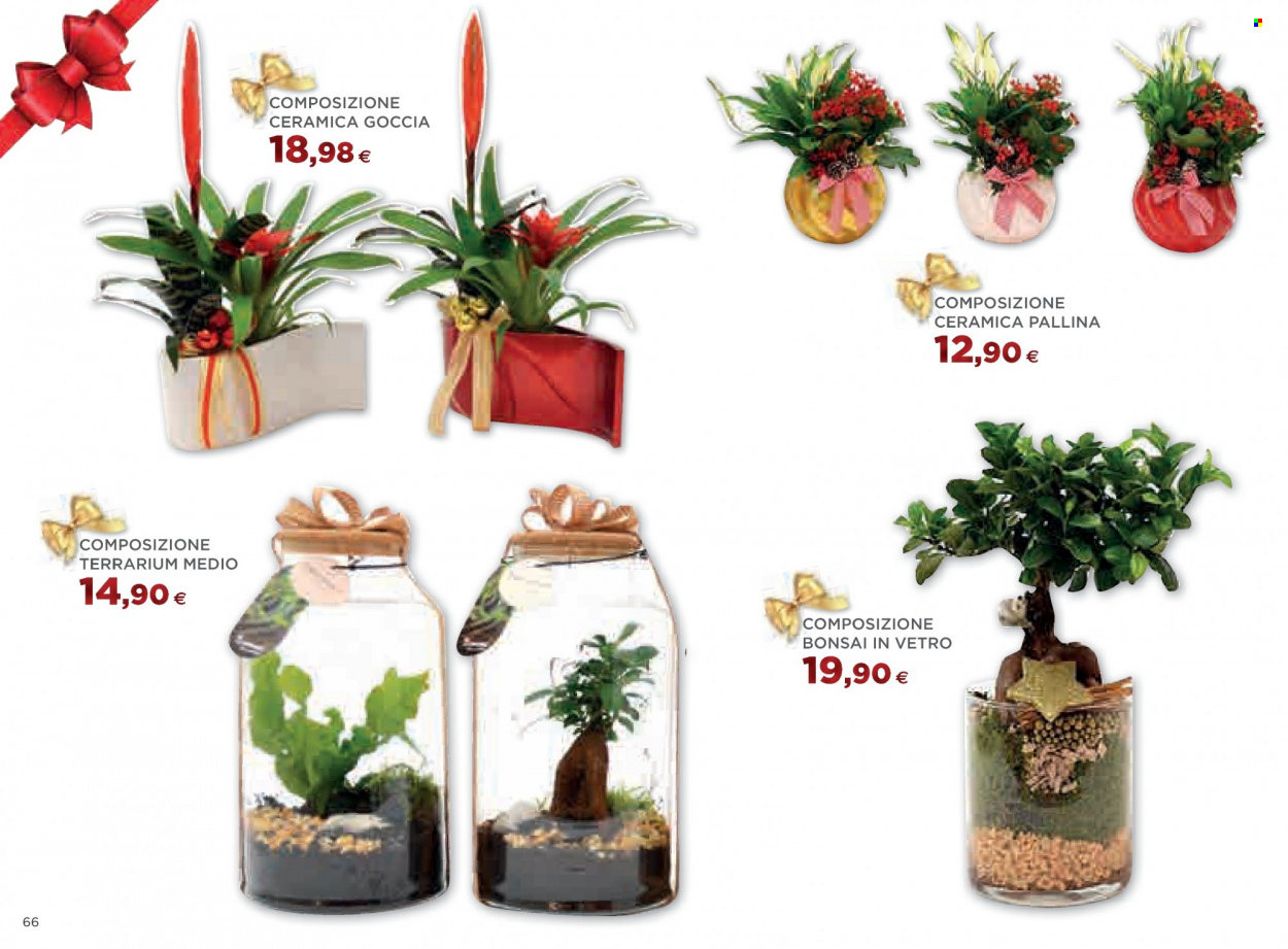 Volantino Coop - 24/11/2022 - 31/12/2022. Pagina 66