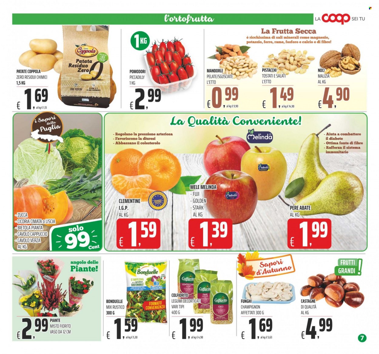 Leták Coop - 22.11.2022 - 1.12.2022. Strana 7