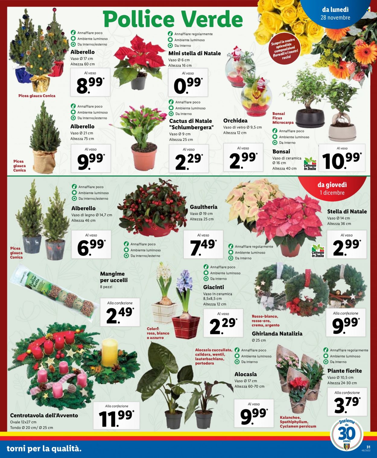 Volantino Lidl - 28/11/2022 - 4/12/2022. Pagina 31