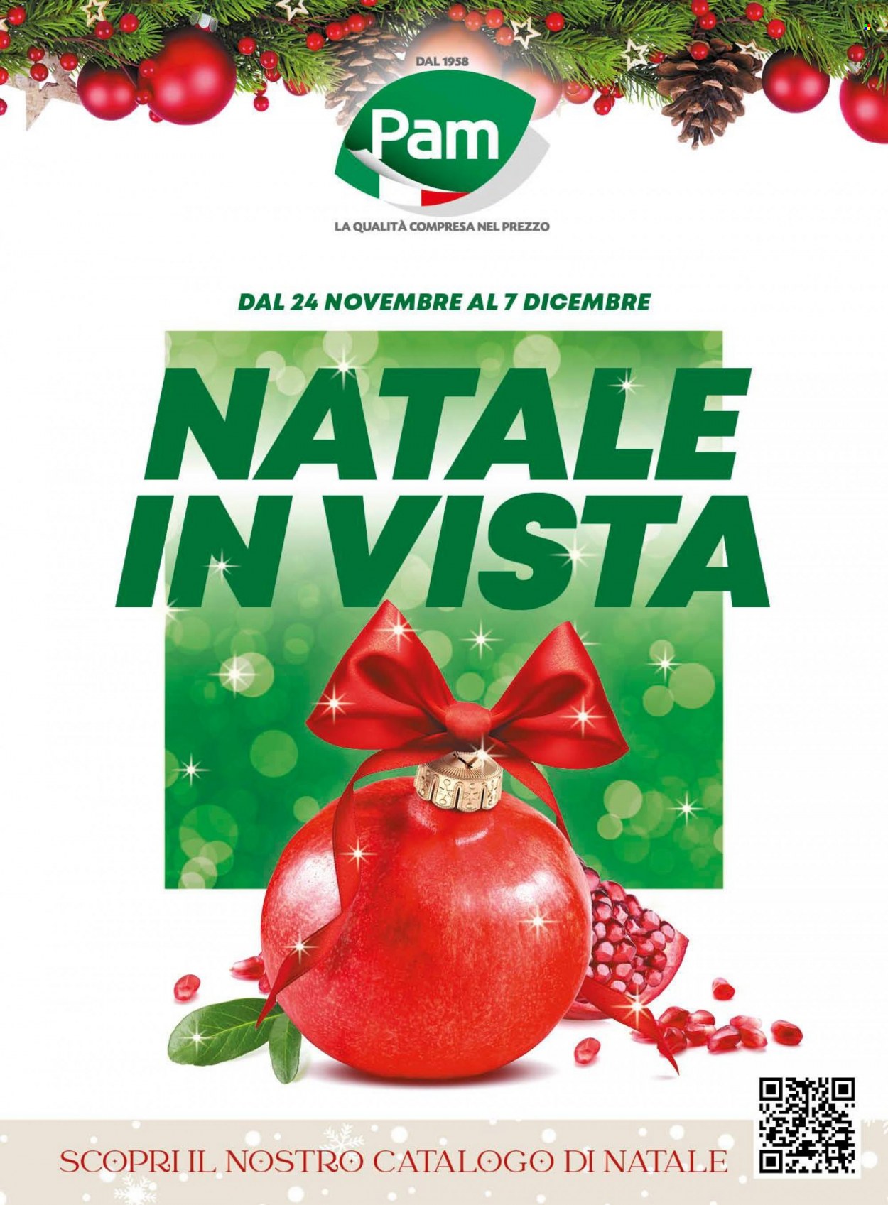 Volantino Pam Panorama - 24/11/2022 - 7/12/2022. Pagina 1
