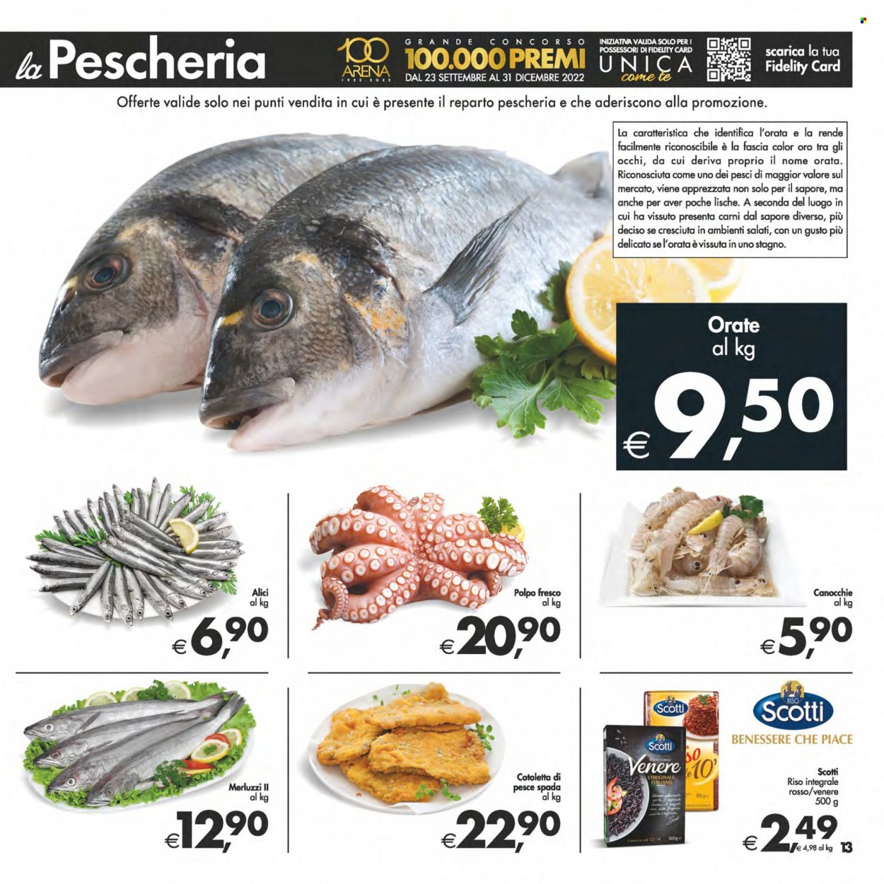 Volantino Deco - 25/11/2022 - 5/12/2022. Pagina 13