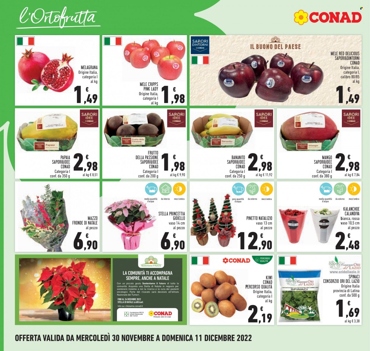 thumbnail - Volantino Conad - 30/11/2022 - 11/12/2022 - Prodotti in offerta - spinaci, mele, mango, Red Delicious, melograno, papaia, kiwi, stella di natale. Pagina 8.