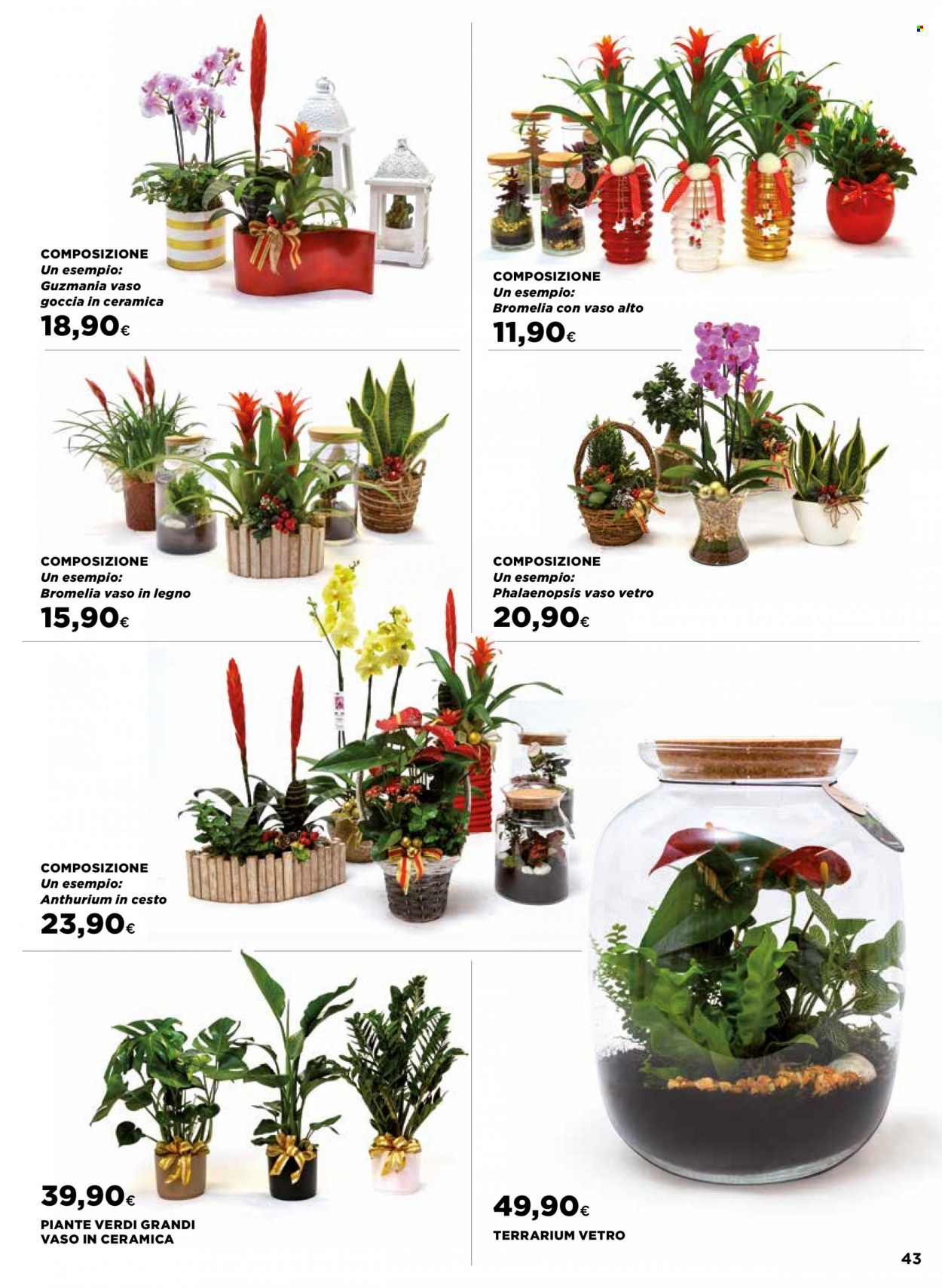 Volantino Coop - 1/12/2022 - 31/12/2022. Pagina 43