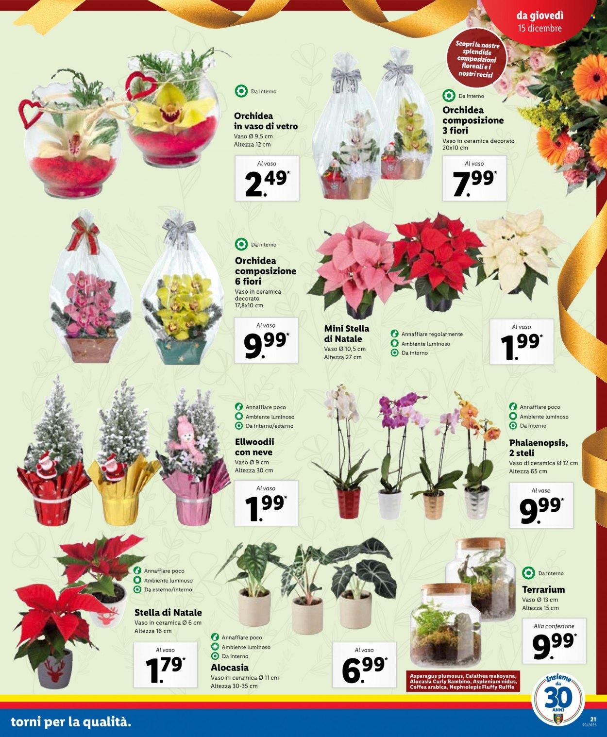 Volantino Lidl - 12/12/2022 - 18/12/2022. Pagina 21