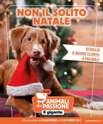 Volantino Il Gigante - 28/11/2022 - 31/12/2022.