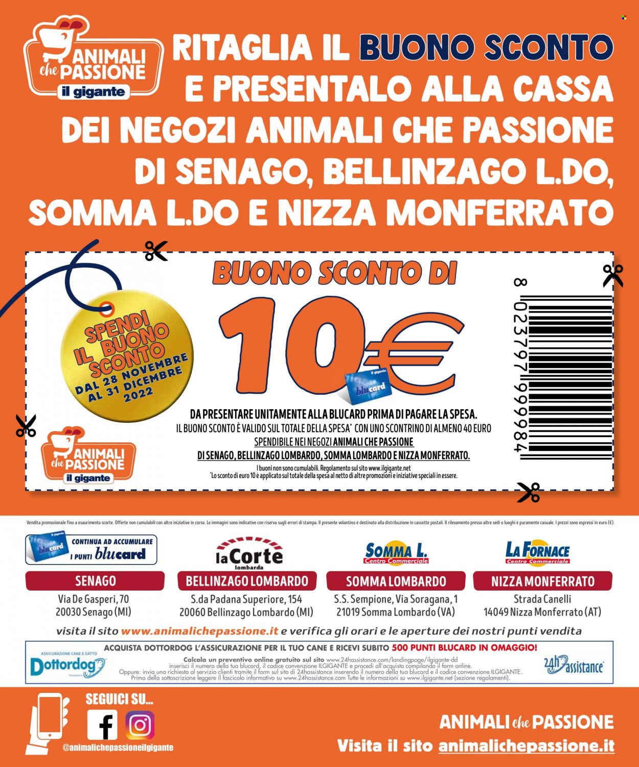 Volantino Il Gigante - 28/11/2022 - 31/12/2022. Pagina 8