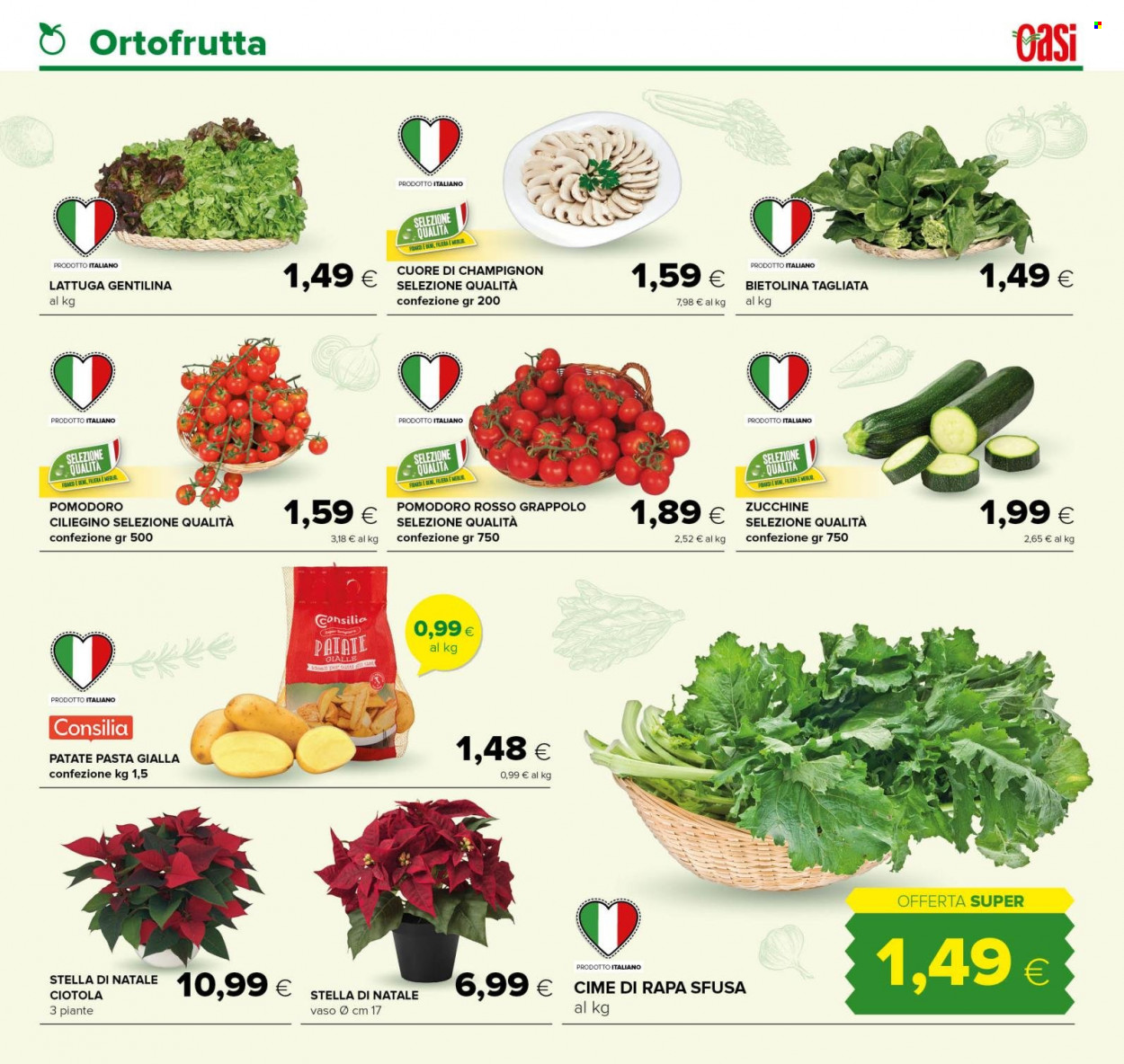 Volantino Oasi - 15/12/2022 - 31/12/2022. Pagina 11
