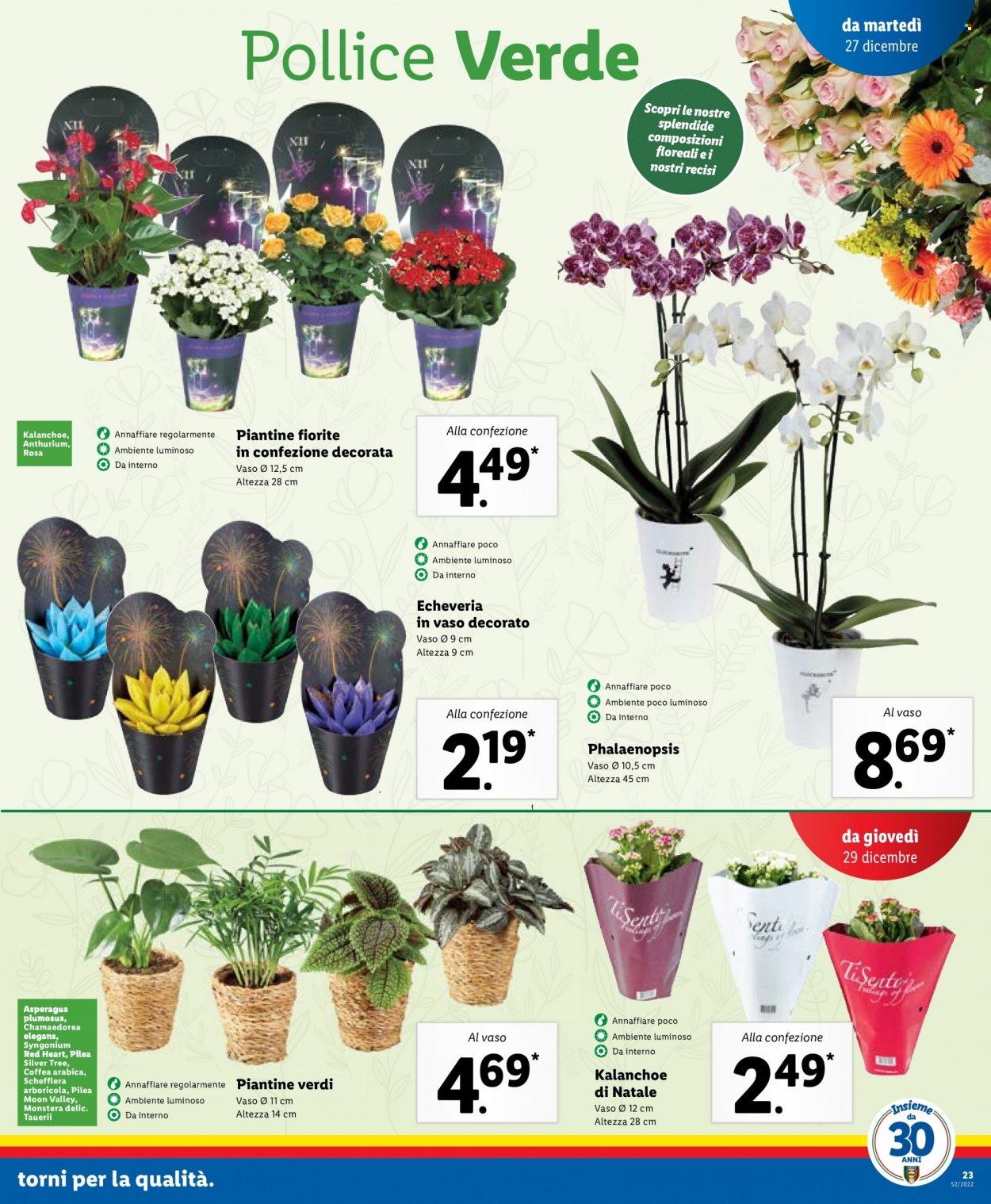 Volantino Lidl - 27/12/2022 - 31/12/2022. Pagina 23
