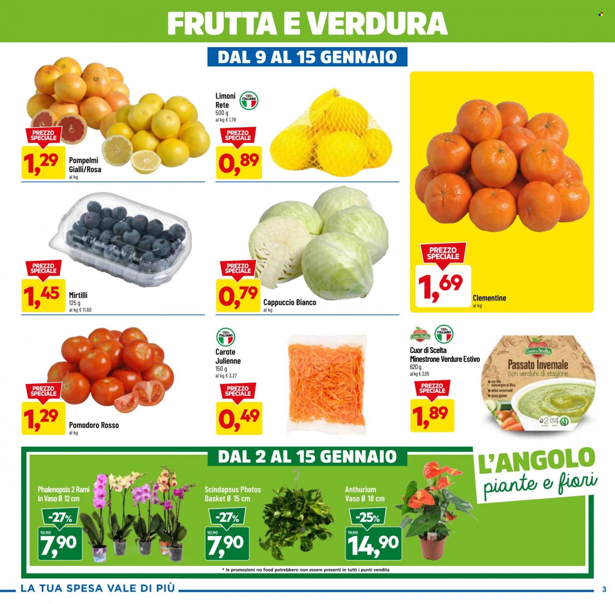 Volantino Dpiù - 2/1/2023 - 15/1/2023. Pagina 3