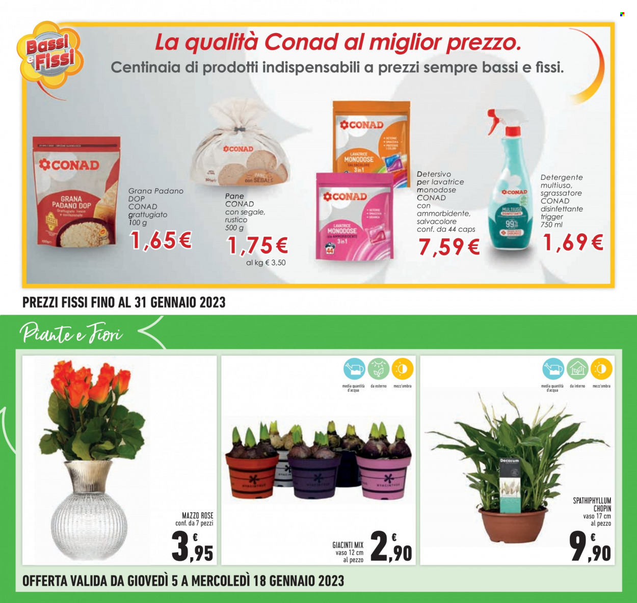 Volantino Conad - 5/1/2023 - 18/1/2023. Pagina 21