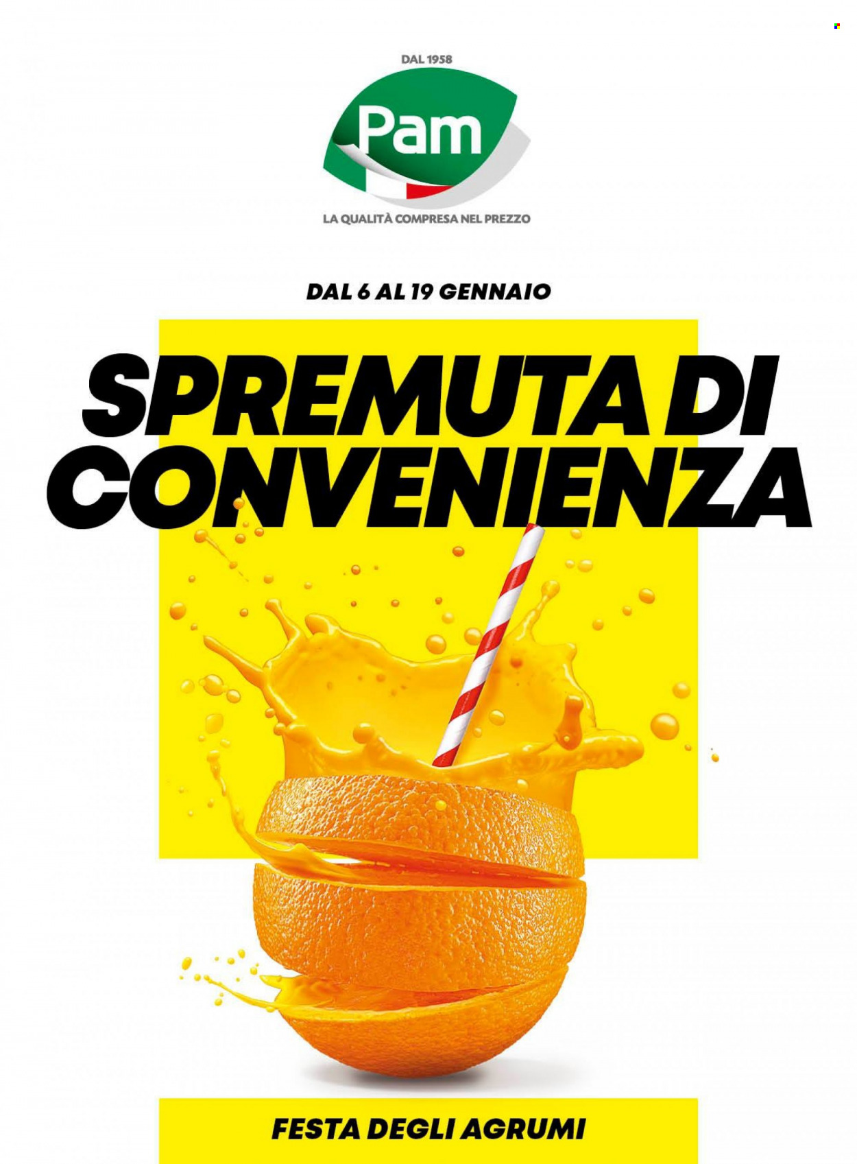 Volantino Pam Panorama - 6/1/2023 - 19/1/2023. Pagina 1