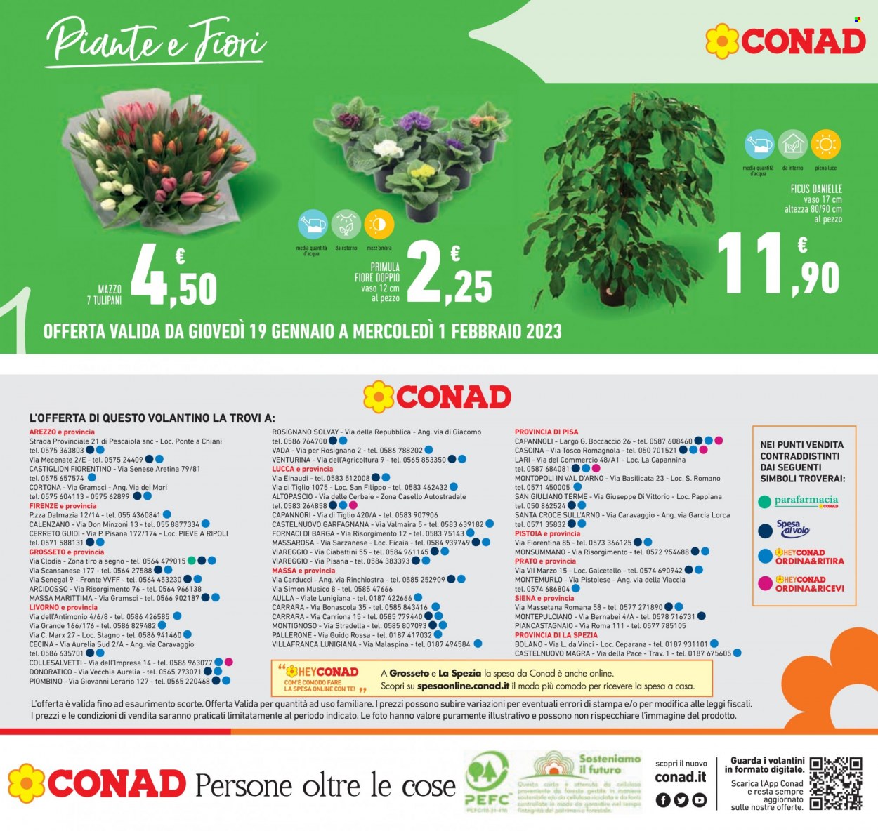 Leták Conad - 19.1.2023 - 1.2.2023. Strana 28