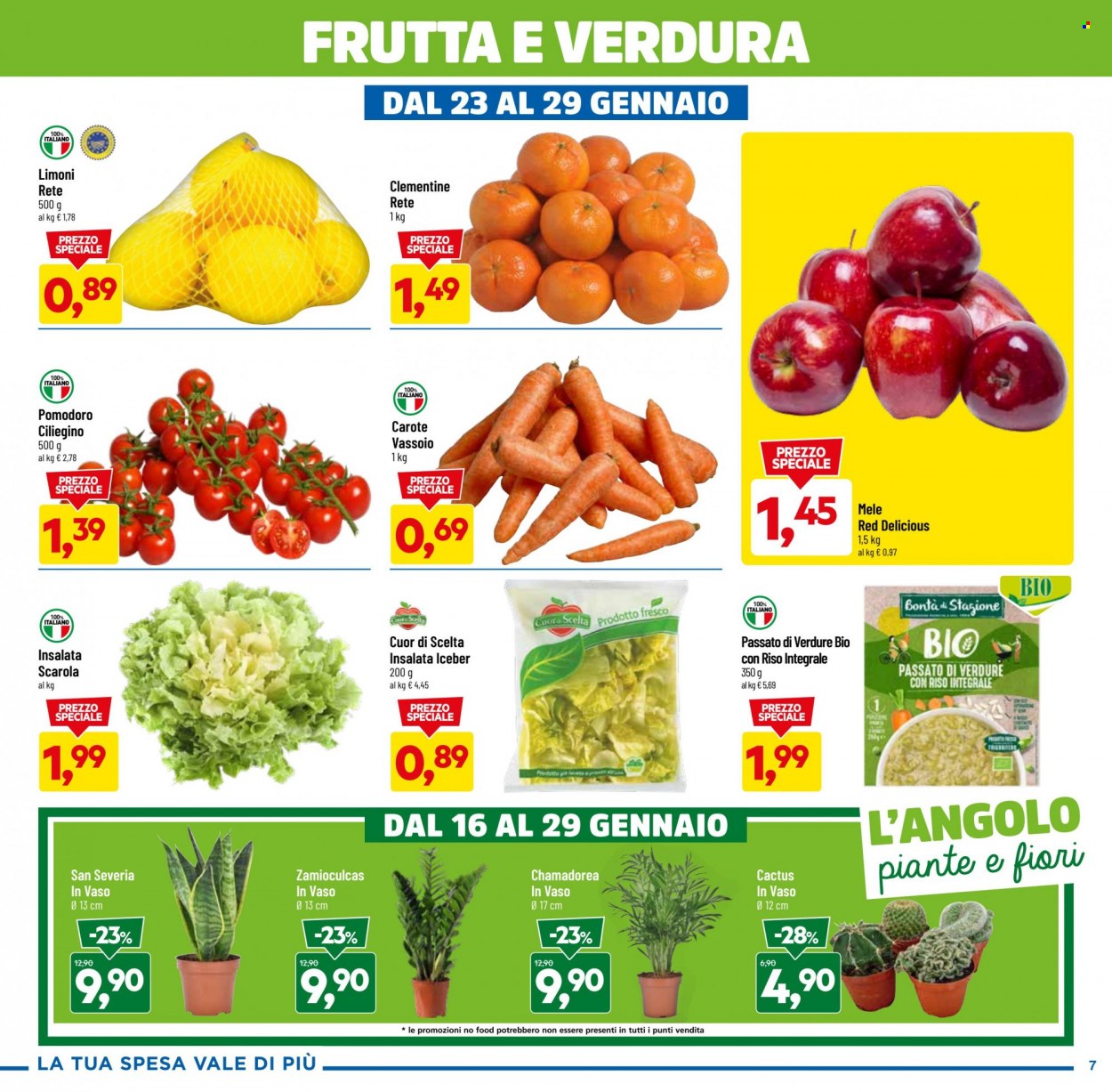 thumbnail - Volantino Dpiù - 16/1/2023 - 29/1/2023 - Prodotti in offerta - carote, scarola, pomodorini, pomodori, mele, limoni, clementine, Red Delicious, riso integrale. Pagina 7.