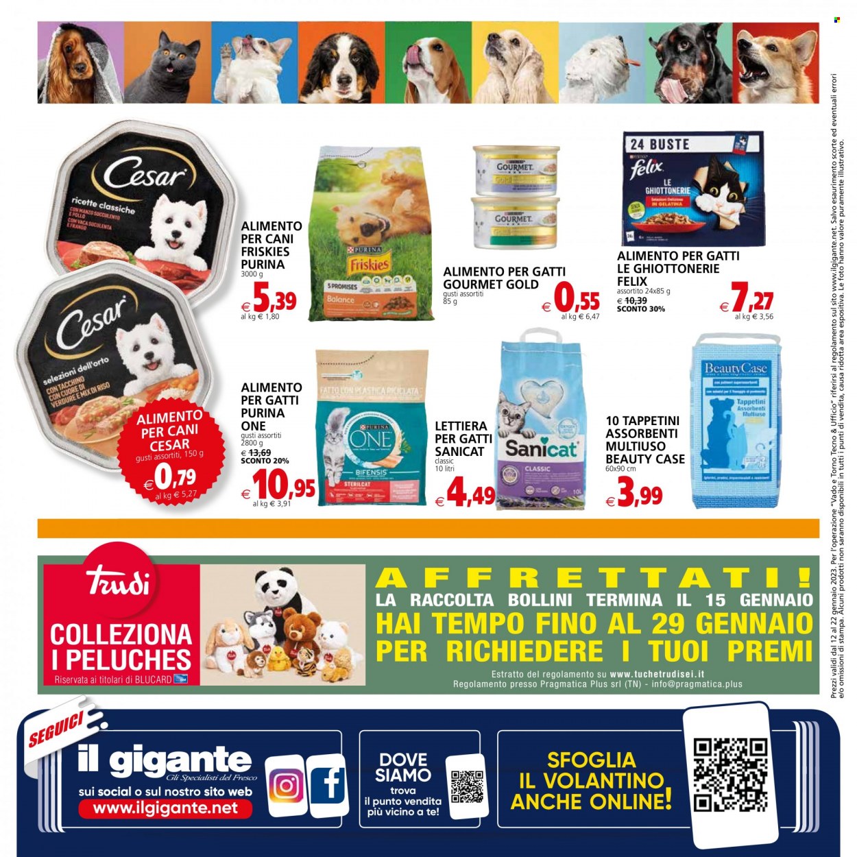 Volantino Il Gigante - 12/1/2023 - 22/1/2023. Pagina 34