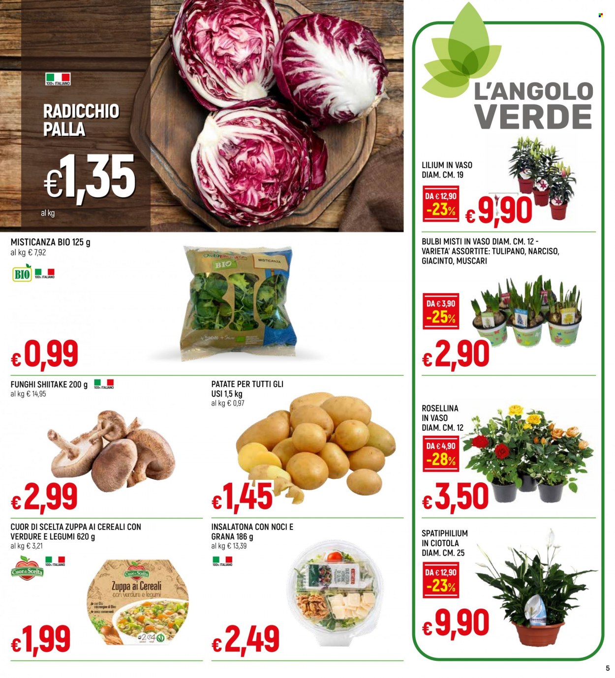 thumbnail - Volantino Galassia - 19/1/2023 - 1/2/2023 - Prodotti in offerta - patate, radicchio, zuppa, ciotola. Pagina 5.