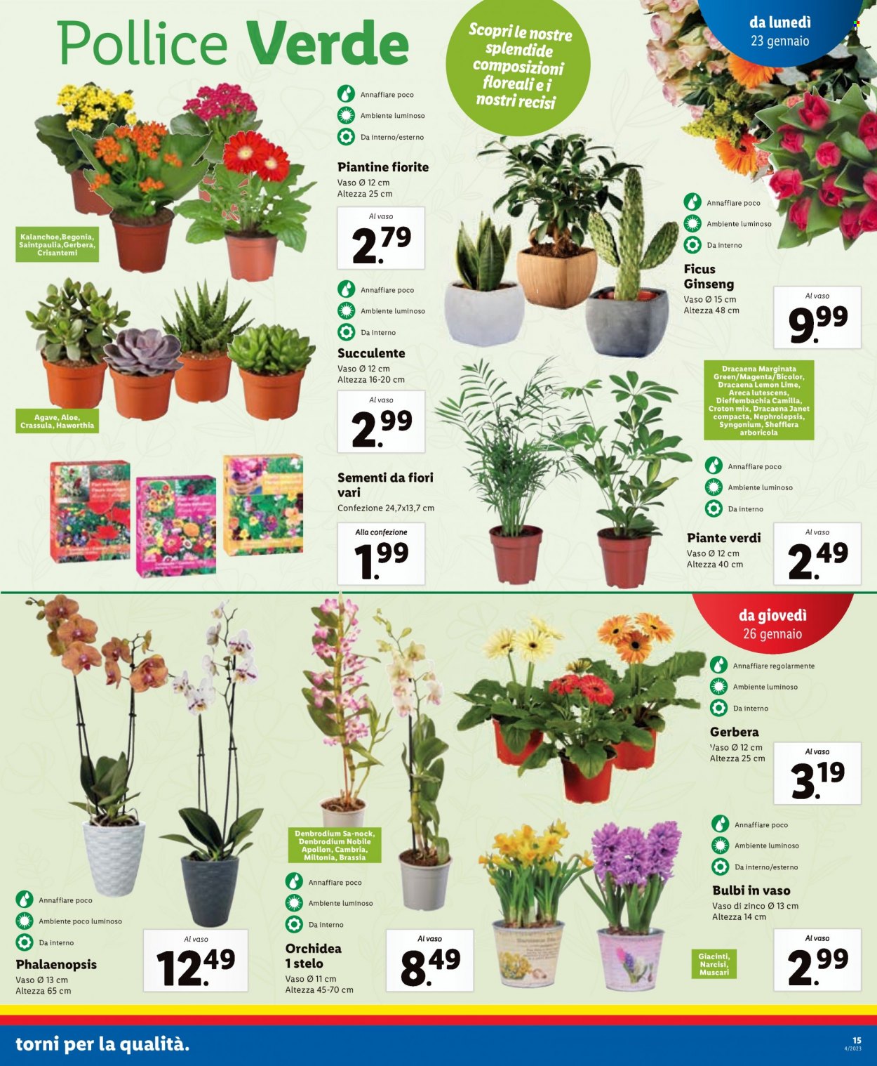 Volantino Lidl - 23/1/2023 - 29/1/2023. Pagina 15