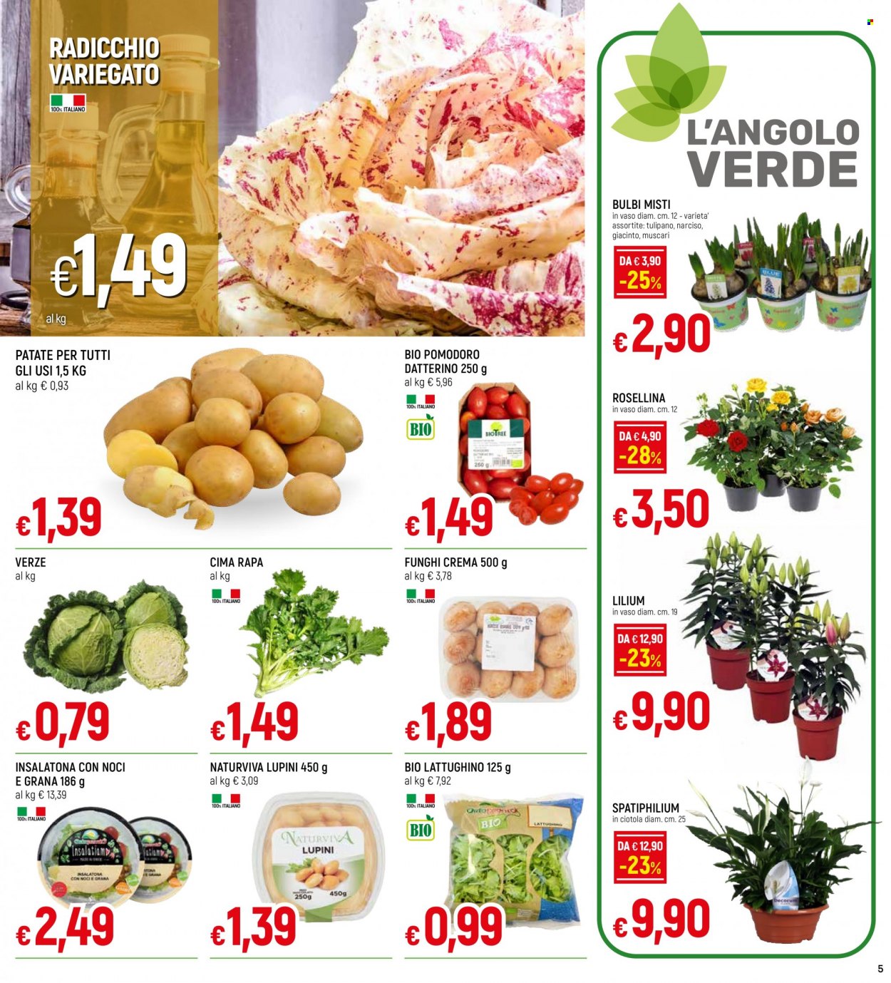thumbnail - Volantino Galassia - 23/1/2023 - 8/2/2023 - Prodotti in offerta - patate, radicchio, pomodorini, lupini, ciotola. Pagina 5.