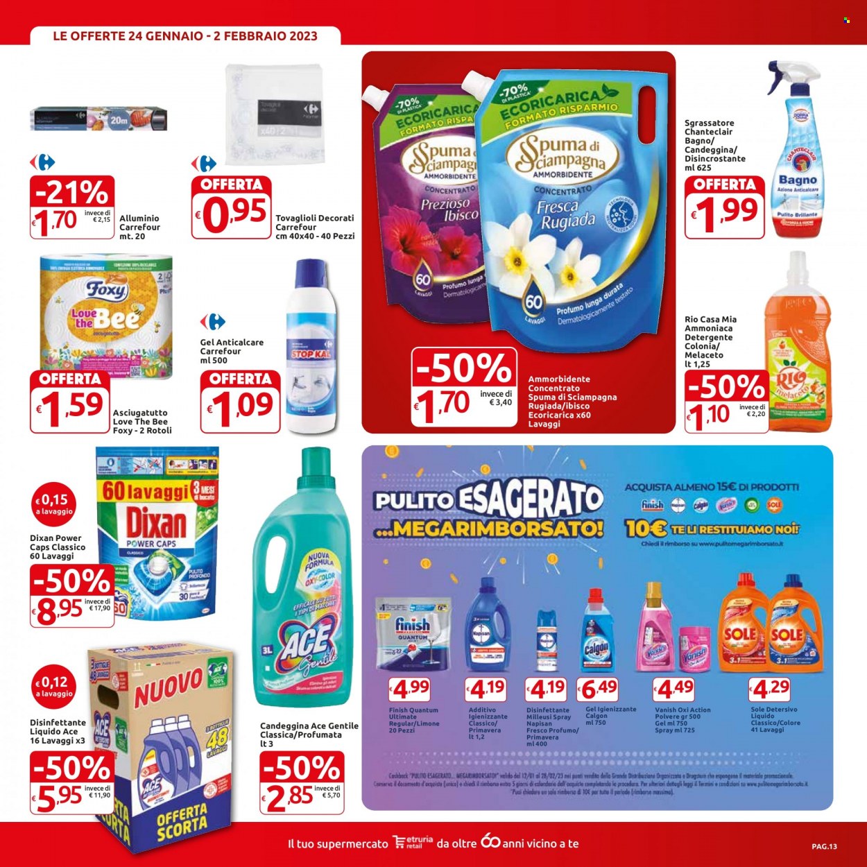 Volantino Carrefour - 24/1/2023 - 2/2/2023. Pagina 13