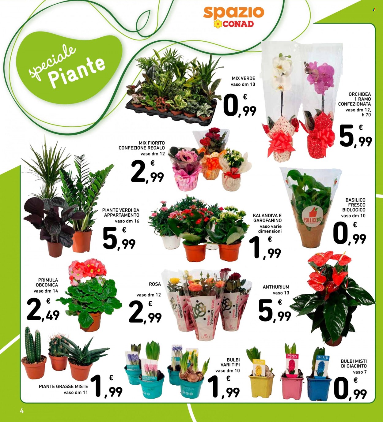 Volantino Conad - 26/1/2023 - 4/2/2023. Pagina 4