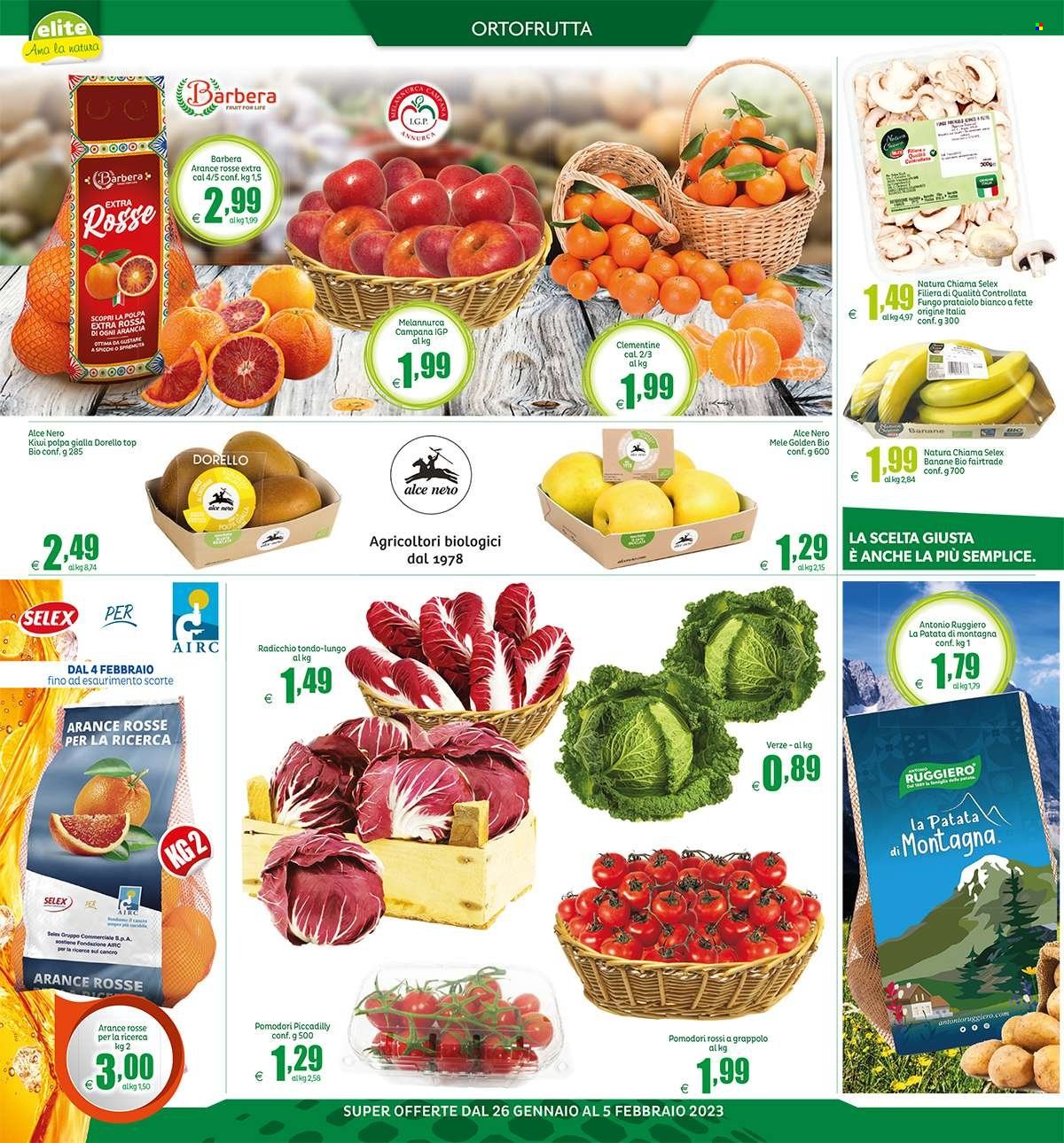 thumbnail - Volantino Elite Supermercati - 26/1/2023 - 5/2/2023 - Prodotti in offerta - radicchio, banane, mele, clementine, kiwi, Barbera, spremuta. Pagina 14.