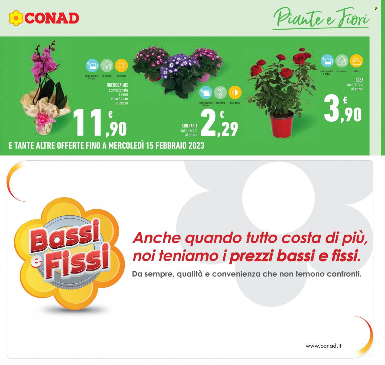 Volantino Conad - 2/2/2023 - 11/2/2023. Pagina 27