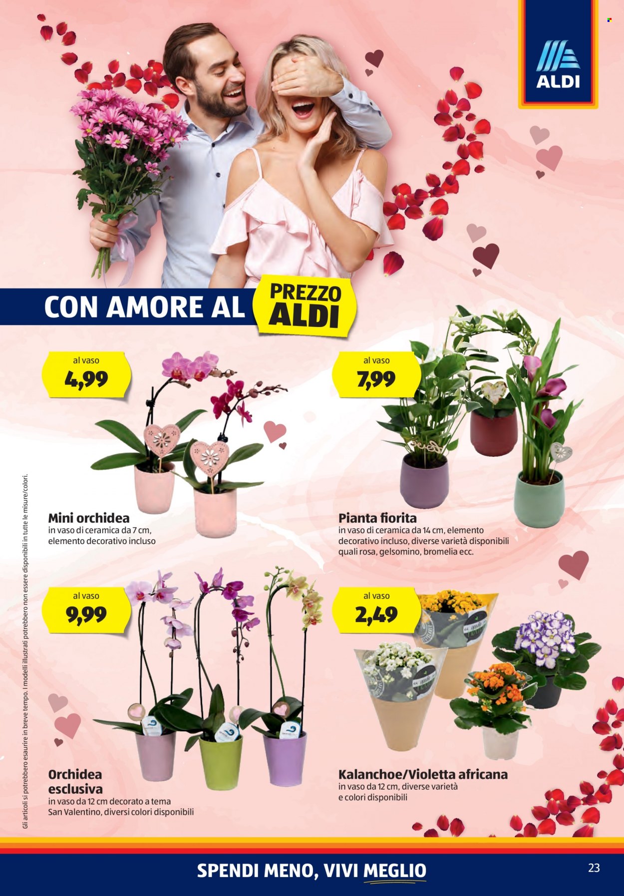 Volantino Aldi - 6/2/2023 - 12/2/2023. Pagina 23