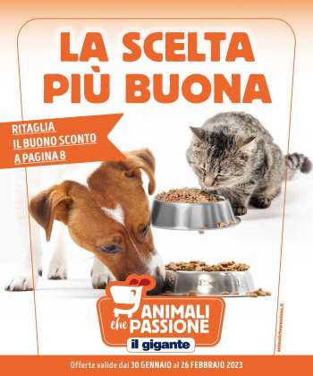 Volantino Il Gigante - 30/1/2023 - 26/2/2023.